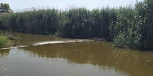 Bodrum'da 7'si Çocuk 41 Düzensiz Göçmen Yakalandı