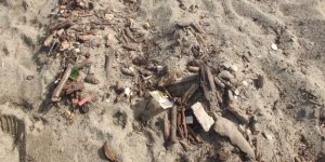 Balıkesir'de Plaj Kirliliği Tepkilere Neden Oldu