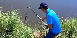 Söke'de Balık Ölümleri İnceleme Altında