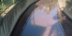 Marmaris’teki Dere Mor Renge Dönüştü, MUSKİ Uyardı