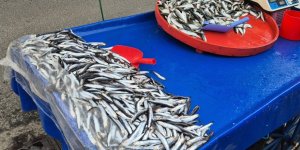 Tekirdağ'da Hamsi 150 lira, İstavrit 100 lira