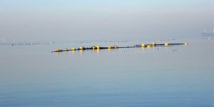 Uzmanından Önemli Müsilaj Açıklaması: "Yapmamız Gereken En İvedi Konu"