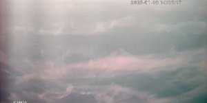 Marmara Denizi'nde Müsilaj Alarmı