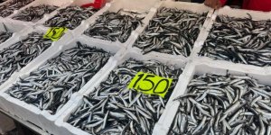 Hamsinin Fiyatı Düştü, Vatandaş Yoğun İlgi Gösterdi