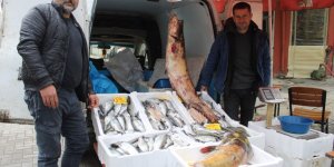 Kuraklık, Barajlardaki Balık Popülasyonu Etkiledi