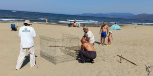 EKODOSD’tan Caretta Caretta Uyarısı