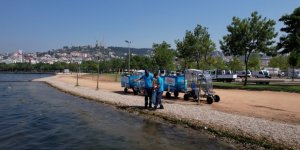 Kocaeli Sahillerinden 7 Ton Atık Toplandı