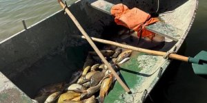 Van'da Kaçak Balık Avlayan 2 Kişiye 25 Bin Lira Ceza