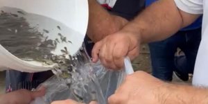 Hayrabolu'da Göle 200 Bin Yavru Sazan Bırakıldı