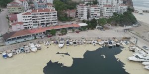 Marmara'nın Küçük Balıkçılarına "Müsilaj" Desteği Geliyor