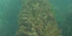 Amasra Belediyesi'ne 668 Bin TL Para Cezası Kesildi