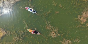 Kuraklığa Dikkat İçin Beyşehir Gölü’nde Kürek Çektiler