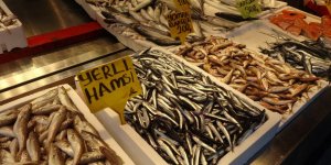 Hamsiyi Tezgâhta Erken Gören Balıkçı Sevinsin Mi Üzülsün Mü Bilemedi