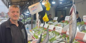 Karadeniz'de Bu Yıl Hamsi Beklentisi Büyük