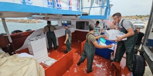 Balık Fiyatları 1 Ay Sonra Ucuzlayacak