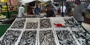 Zonguldak'ta Tezgahlar Balıkla Şenlendi
