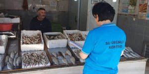 Balık Av Sezonunun Başlaması ile Birlikte Su Ürünleri Denetimleri Sıklaştırıldı