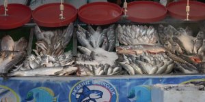 Balık Sezonu Açıldı, Halk Et ve Tavuktan Balığa Yöneldi