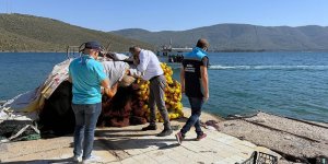 Güllük Körfezi’nde Kaçak Avcılık Denetimi