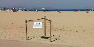 Yıllar Sonra Kuşadası'nda Kum Zambağı Açtı