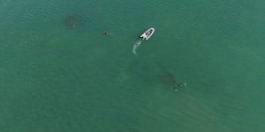 Ordu’da 1933’te Batan Rus Şilebi Dronla Görüntülendi