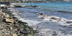 Tekirdağ'da Poyraz Fırtınası Kıyılarda Kızıl Yosunlara Neden Oldu