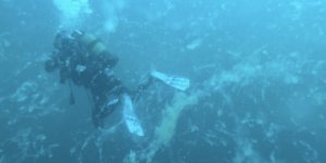 Çanakkale'de Müsilaj Alarmı