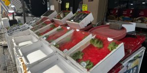 Alaplı'da Balık Tezgâhları Boş Kaldı