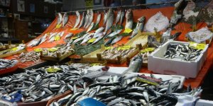 Balıkçılardan Müjde: Fiyatlar Düştü Bolluk Bekleniyor