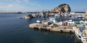 Şile'de Bu Yıl Palamut Avı Beklenenin Çok Altında Kaldı