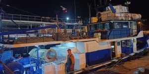 Bir Ayda 198 Ton Hamsi Çıkışı Oldu