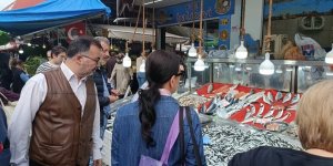 Bartın'da Azalan Hamsinin Fiyatı Arttı