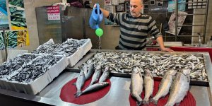 Trabzon'da Balıkçıların Ceza İsyanı