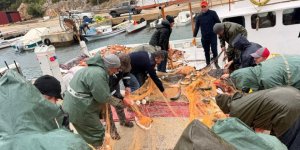 Saros Körfezi’nde Denize Açılan Balıkçıların Ağları Kefal ile Doldu