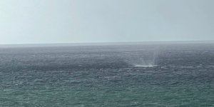 Alanya Açıklarında Oluşan Hortum Korkuttu