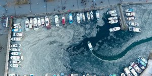 Gelişmiş Arıtma Teknolojileriyle Müsilajsız Deniz, Verimli Tarım