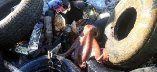 Denizden çıkanlar görenleri şaşırttı