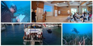 Deniz Çayırlarının %70’i Hayatta: Türkiye’nin Mavi Nefesi Güçleniyor