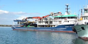 Deniz Sıcak Hamsi Zayıf: Balıkçıların Gözü 10 Kasım'da