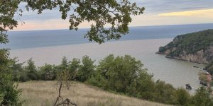 Denizin Rengi Değişti, Plaja Tıbbi Atıklar Vurdu