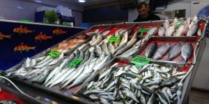 Denizlerin Prensi 'Lüfer' 900 liradan Tezgâhta