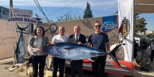 Yakaladığı 800 Kiloluk Dev Orkinosu Sevdiklerine İhram Etti