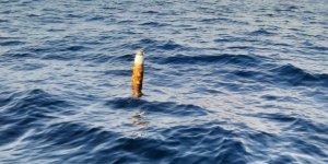 Akçakoca Açıklarında Balıkçılar Füze Motoru Buldu