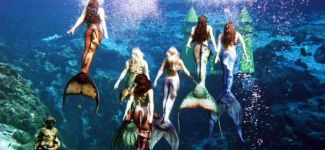 Deniz Kızı Festivali'ne büyük ilgi