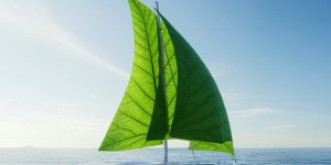 Türk P&I Sigorta’dan Çevre Dostu Yelkenlilere “Sürdürülebilirlik İndirimi”