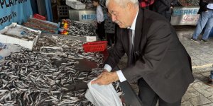 Denizlerde Balık Bolluğu: Hamsinin Fiyatı 89 Liraya Düştü