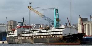 Bandırma Limanı'nda "Spiridon-II" Krizi: İthal Hayvanlar Günlerdir Limanda Mahsur