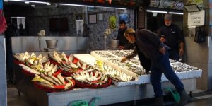 Palamut Sezonu Başlamadan Bitti, Umutlar Seneye Kaldı