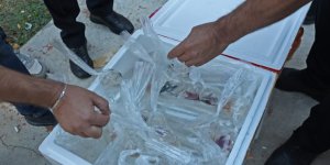 Tayland'tan Süs Balıkları, Tokat'tan Horoz, İstanbul'dan Kalkan Balığı