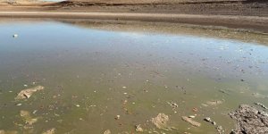 Siirt’te Balık Teleflerine Karşı Gölete 150 Tonluk Su Takviyesi